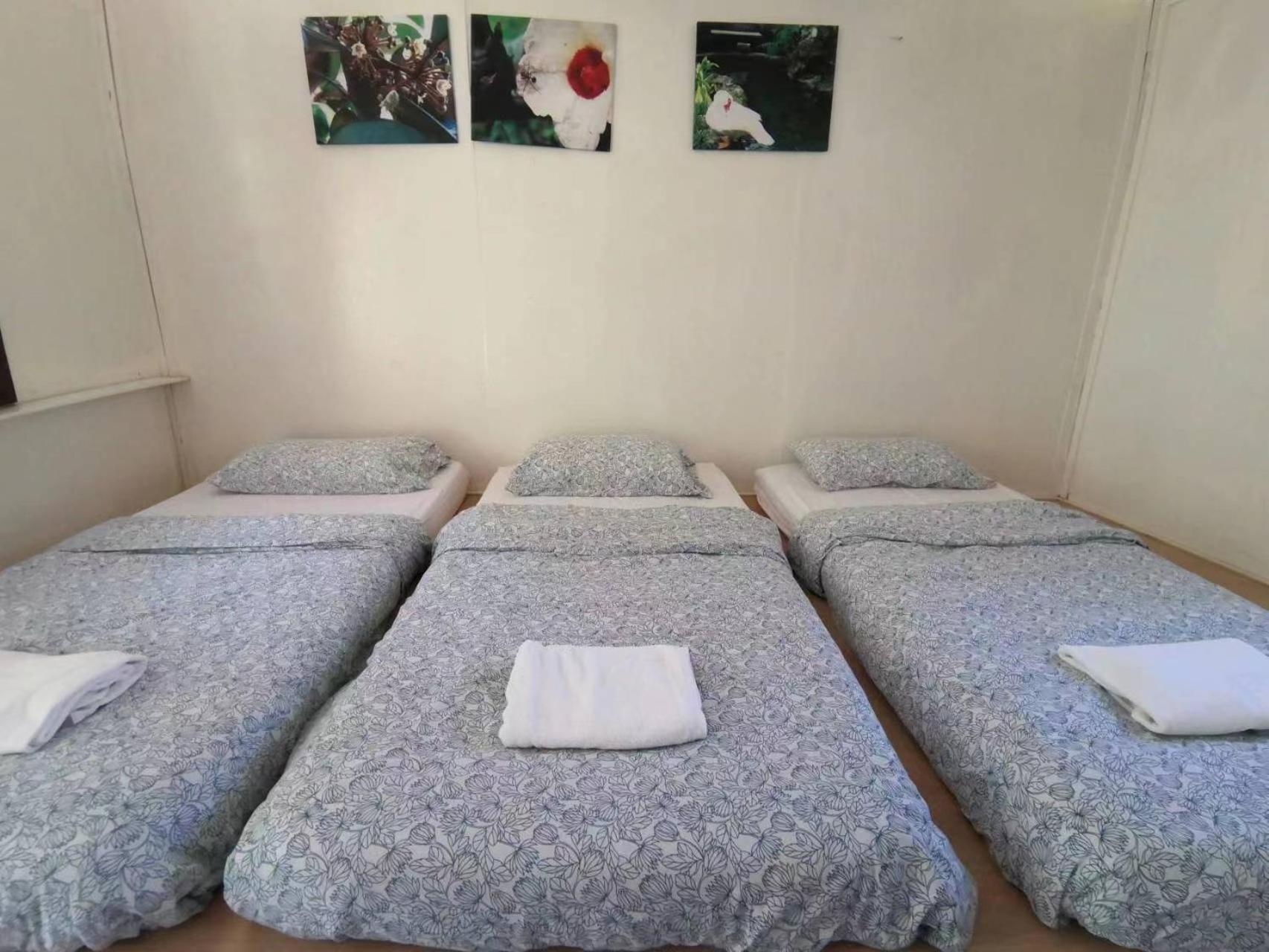 카메론하일랜즈 문리버 로지 빌라 외부 사진
